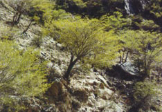 20067710484793.jpg