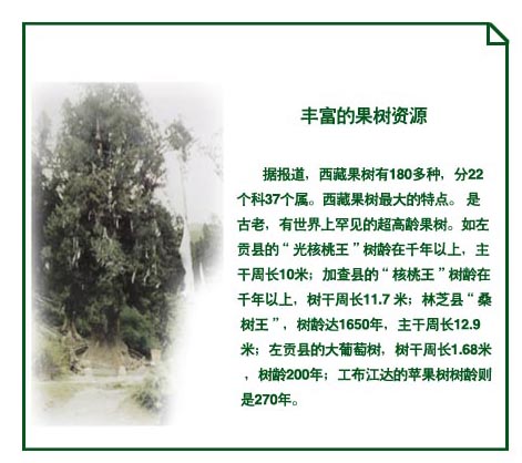 20050423114318531.jpg