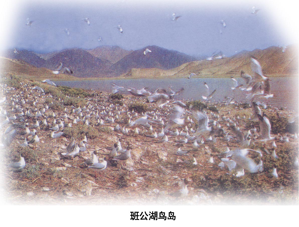 20050423105130734.jpg