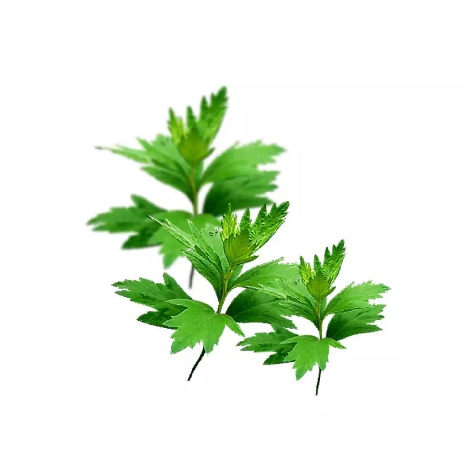 401.jpg