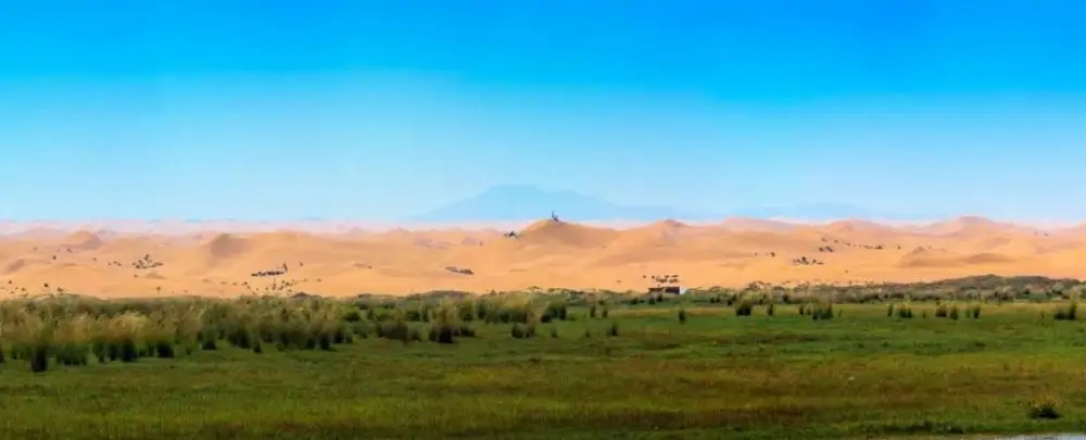 69.webp.jpg 69.webp.jpg