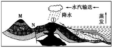 71.webp.jpg 71.webp.jpg