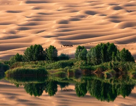 52.webp.jpg 52.webp.jpg