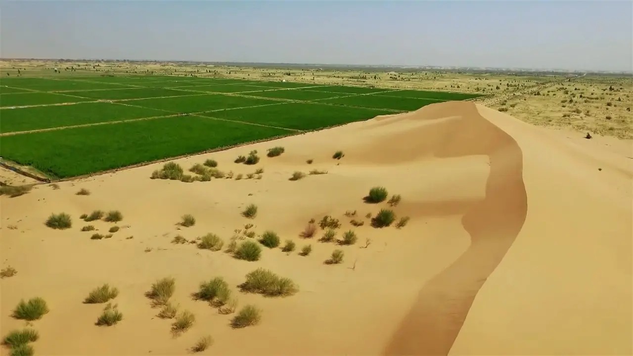 24.webp.jpg 24.webp.jpg