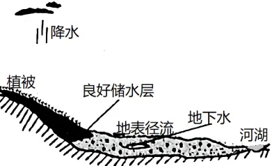 72.webp.jpg 72.webp.jpg