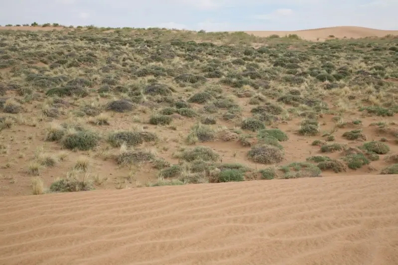 53.webp.jpg 53.webp.jpg