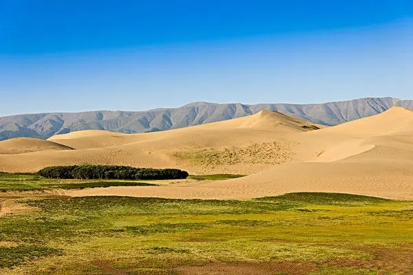 68.webp.jpg 68.webp.jpg