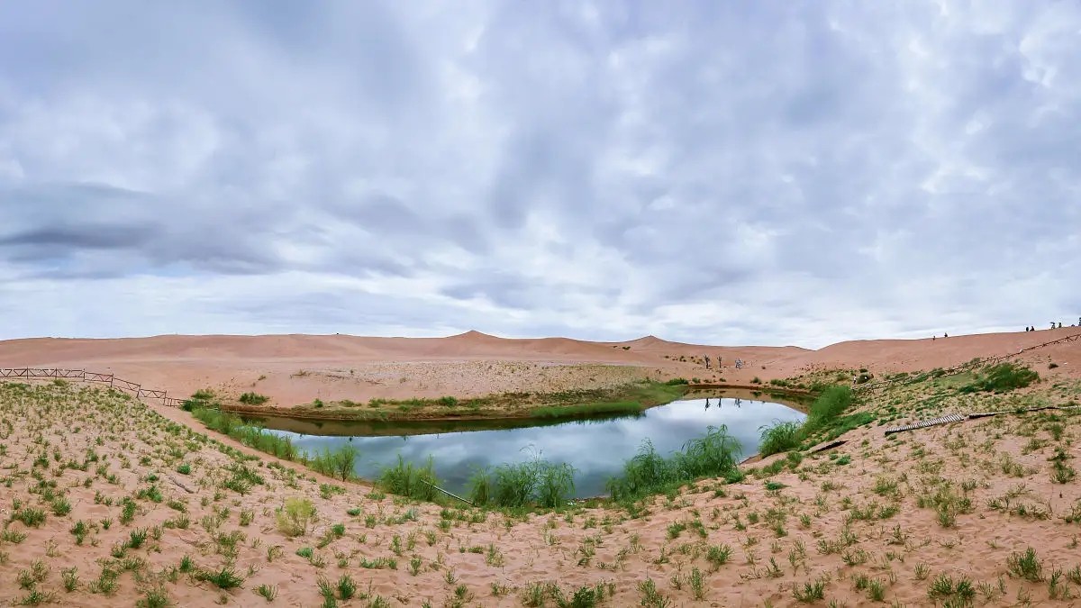 21.webp.jpg 21.webp.jpg