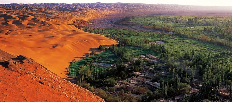 23.webp.jpg 23.webp.jpg