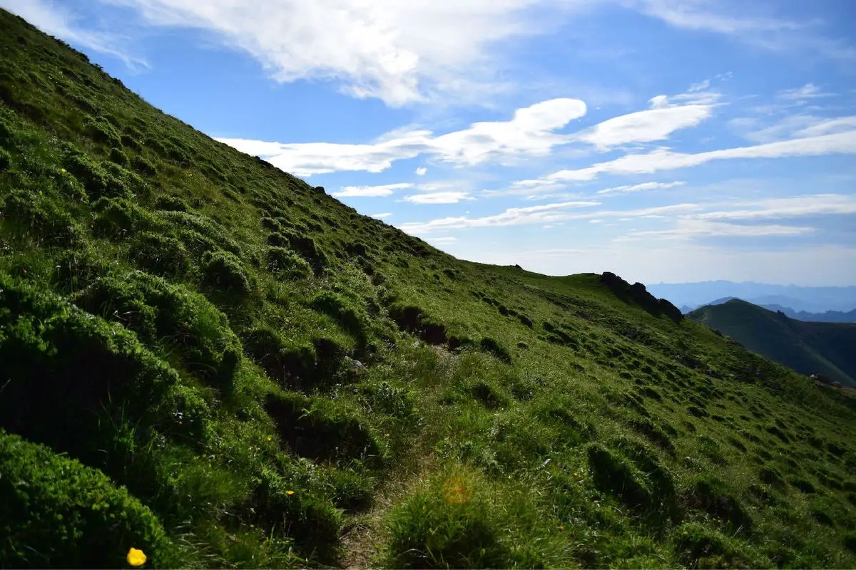 4.webp.jpg 4.webp.jpg