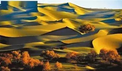 54.webp.jpg 54.webp.jpg