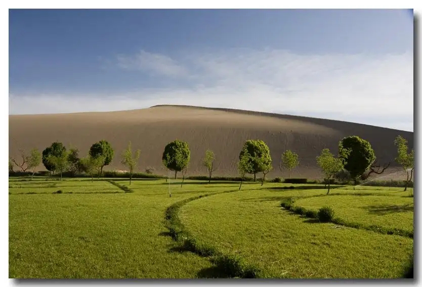 20.webp.jpg 20.webp.jpg