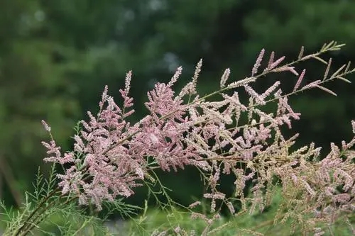 190.webp.jpg 190.webp.jpg