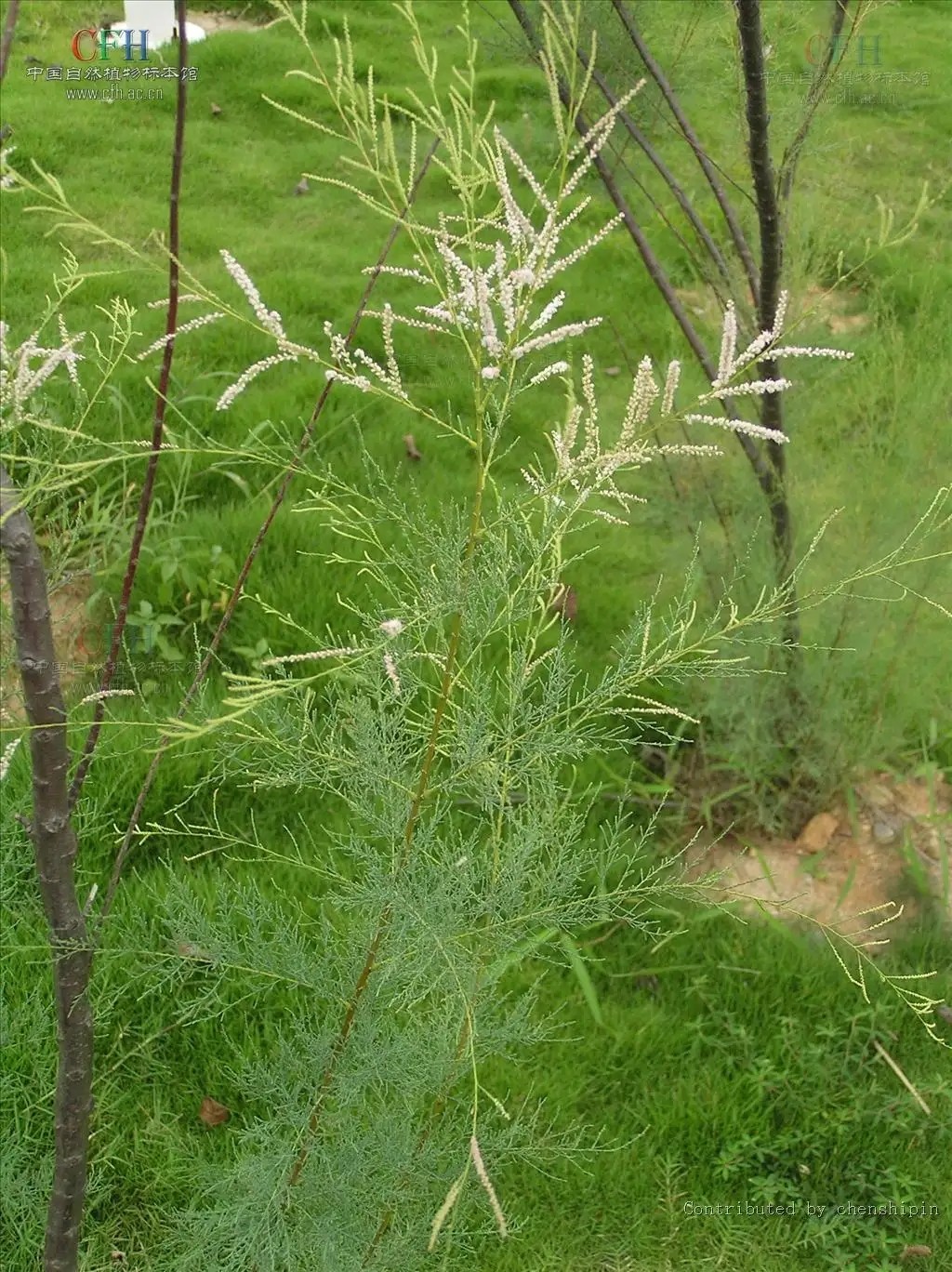 188.webp.jpg 188.webp.jpg