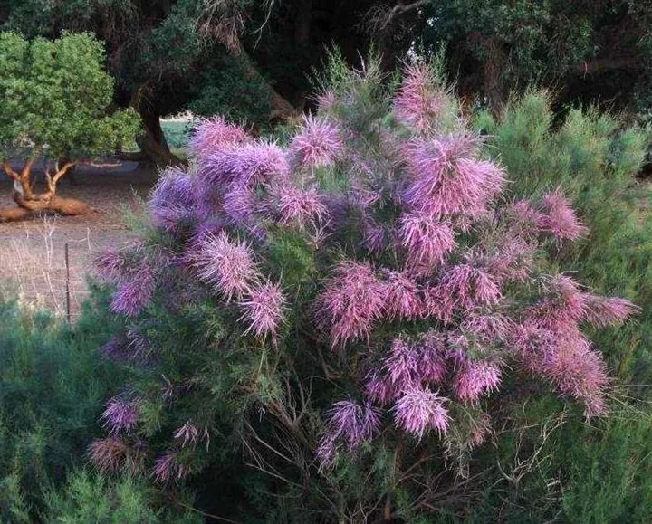 189.webp.jpg 189.webp.jpg