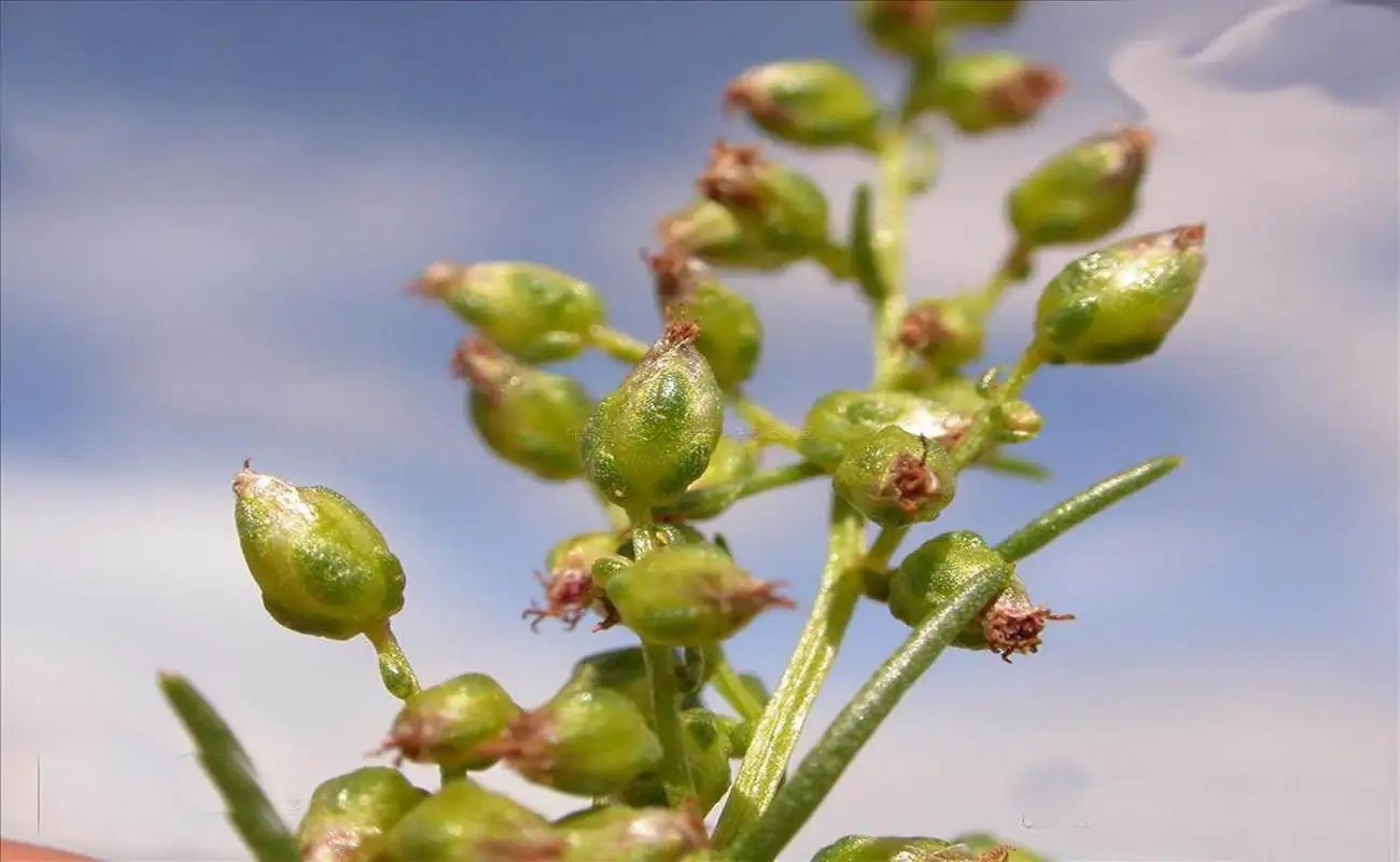 67.webp.jpg 67.webp.jpg