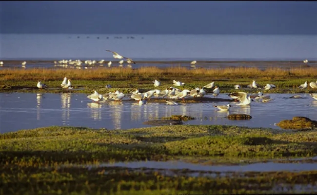 110.webp.jpg 110.webp.jpg