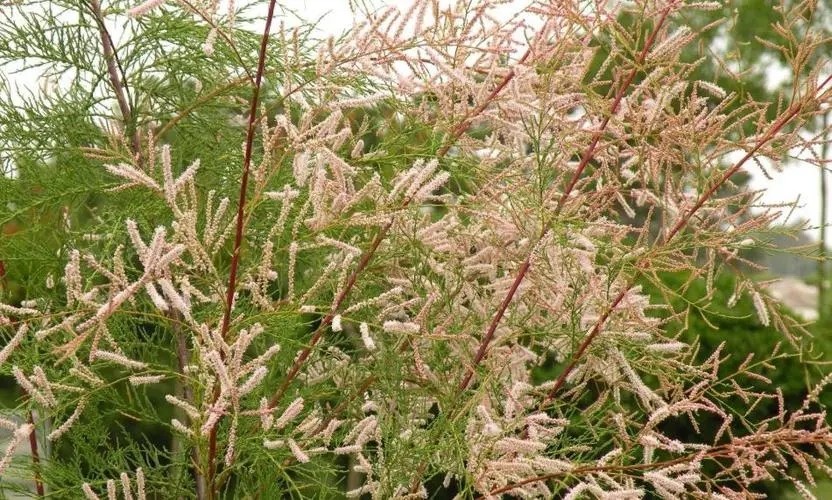 187.webp.jpg 187.webp.jpg