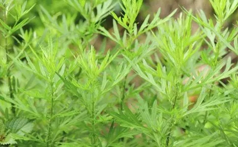 69.webp.jpg 69.webp.jpg