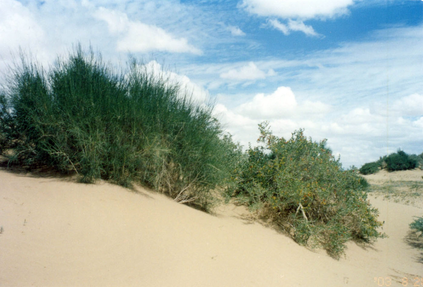 151.jpg