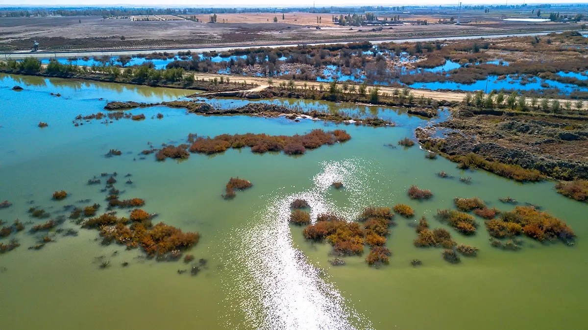 105.webp.jpg 105.webp.jpg