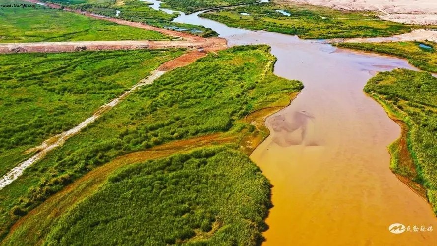 101.webp.jpg 101.webp.jpg