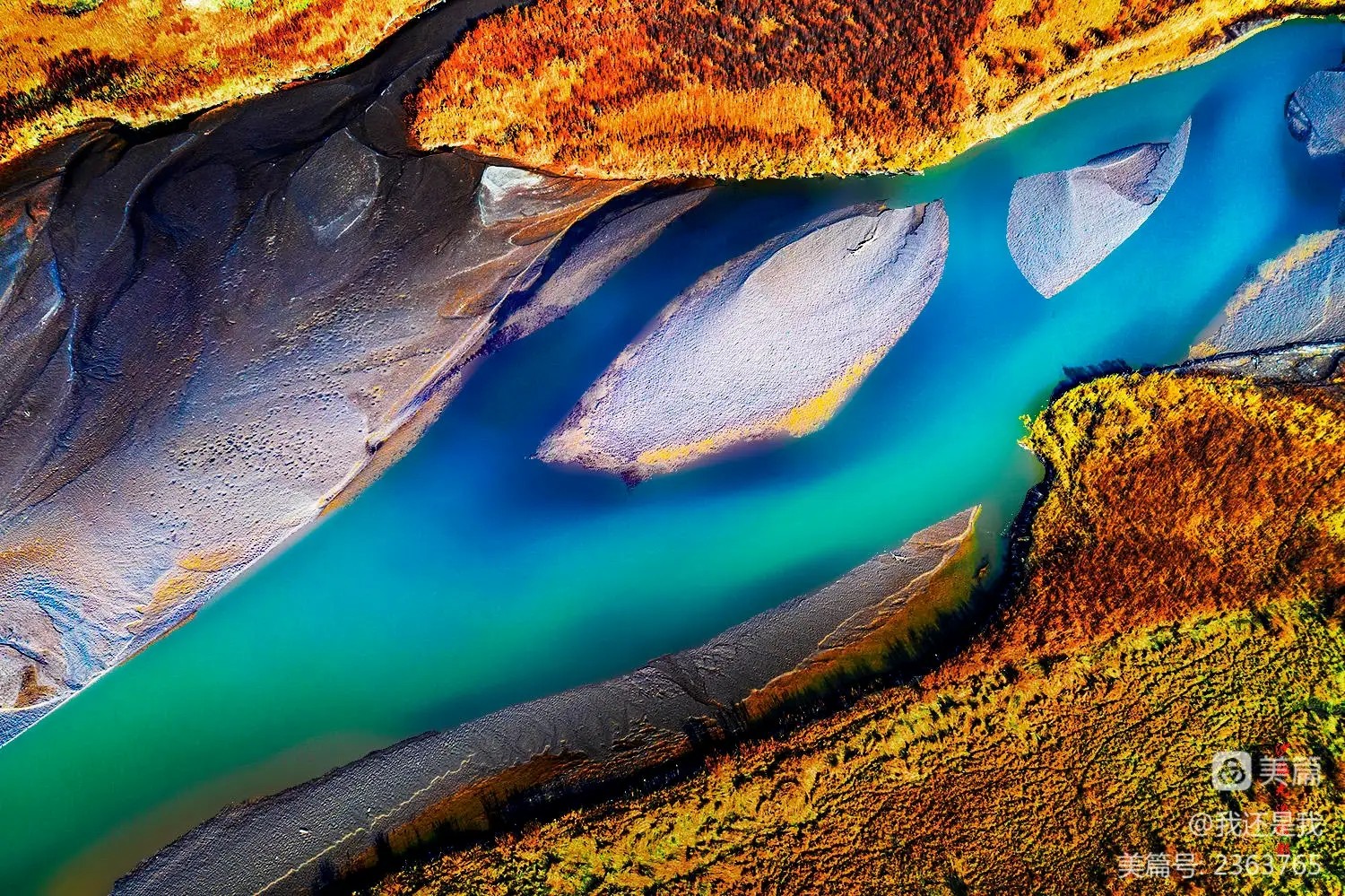 104.webp.jpg 104.webp.jpg