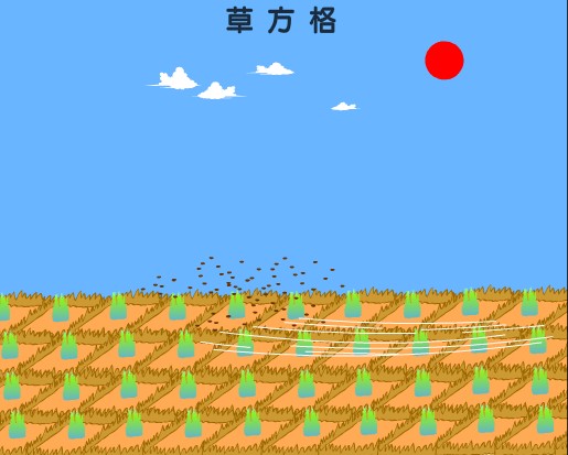 77.jpg