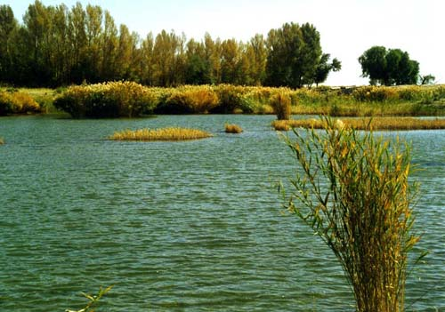 图片50.png 图片50.png