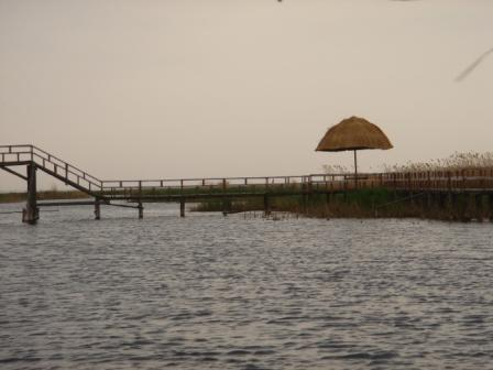 图片43.png 图片43.png