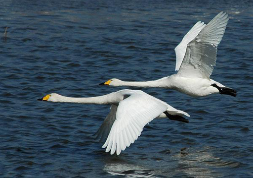 图片52.png 图片52.png