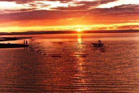 图片50.png 图片50.png