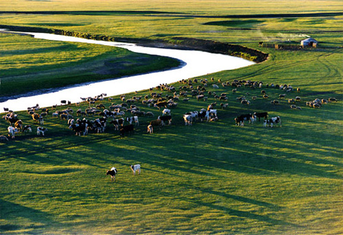 图片51.png 图片51.png