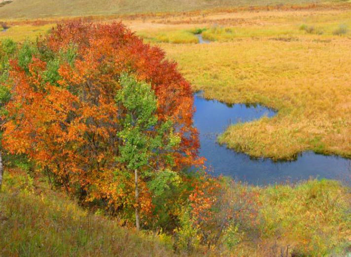 图片27.png 图片27.png