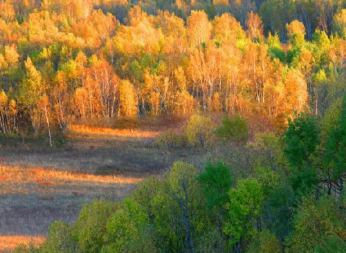 图片28.png 图片28.png