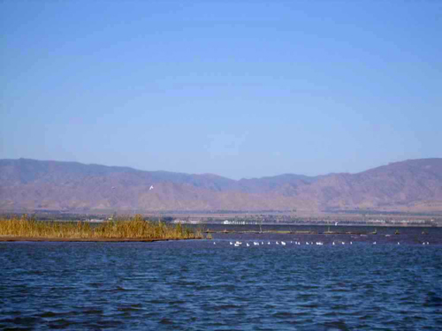 图片29.png 图片29.png