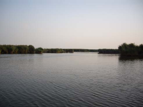 图片49.png 图片49.png