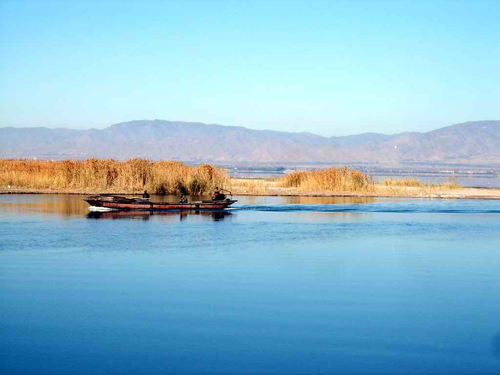 图片30.png 图片30.png