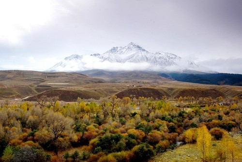 图片410.png 图片410.png