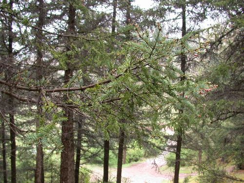 图片373.png 图片373.png