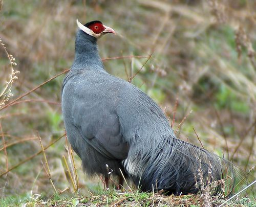 图片383.png 图片383.png