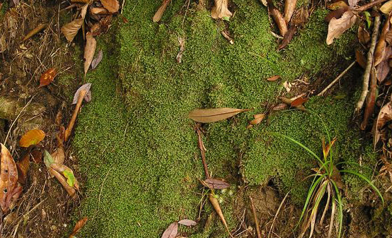 图片320.png 图片320.png