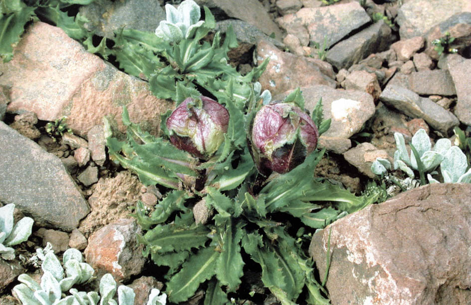 图片346.png 图片346.png