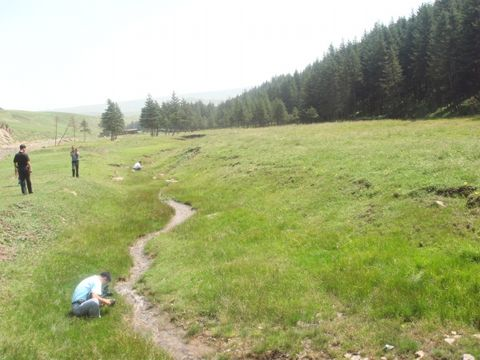 图片411.png 图片411.png