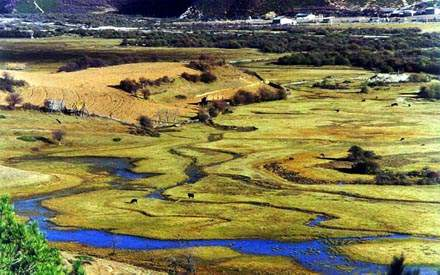 图片331.png 图片331.png