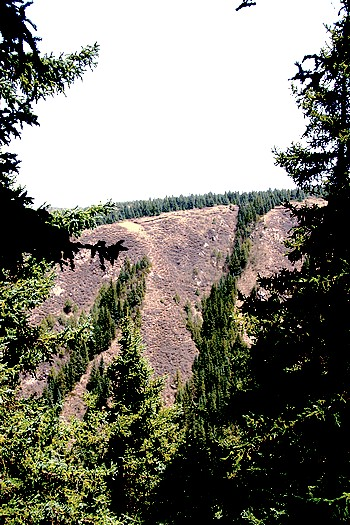 图片398.png 图片398.png