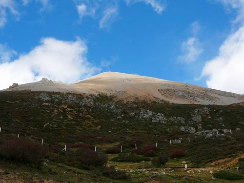 图片283.png 图片283.png