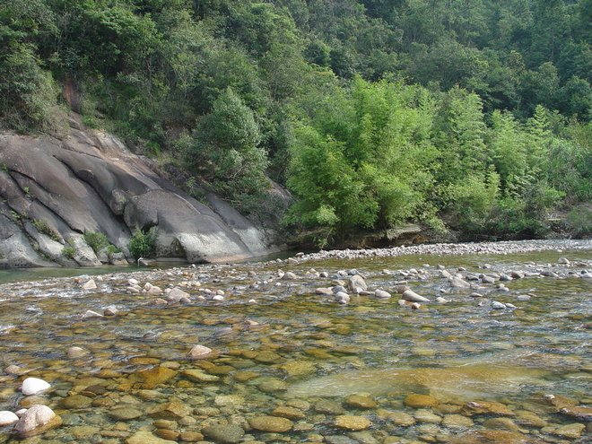 图片365.png 图片365.png