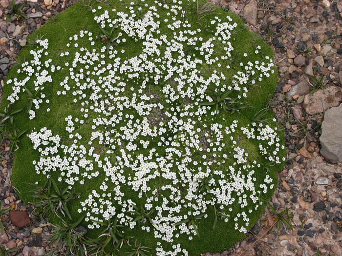 图片340.png 图片340.png