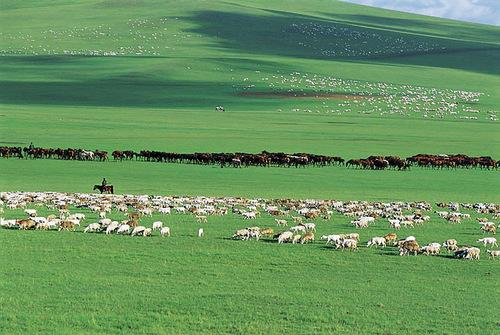 图片285.png 图片285.png